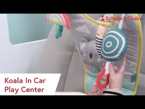 Jucarie auto cu oglinda retrovizoare Koala Taf Toys 2