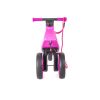 bicicleta fara pedale funny wheels supersport 2 in 1 violet 3