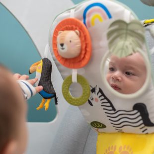 Jucarie auto Taf Toys Savannah 1