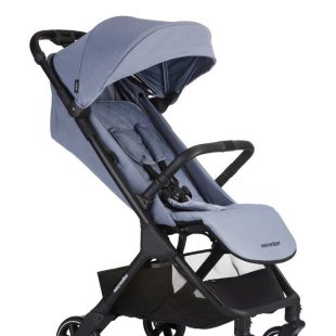 carucior jackey steel grey Easywalker