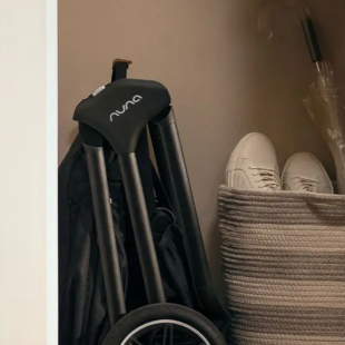 carucior nuna triv next z 1