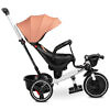 Tricicleta cu maner parental si scaun reversibil Toyz DASH roz 10